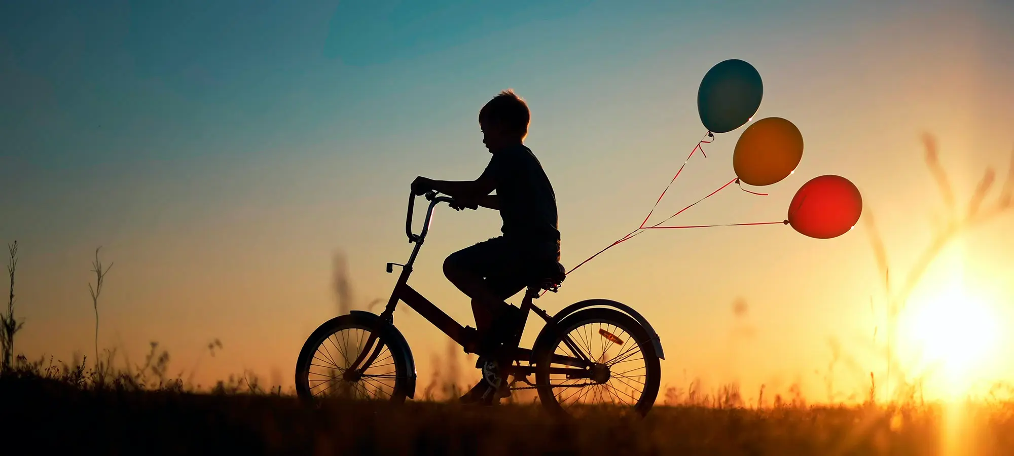 POI CV. Plataforma de Organizaciones de Infancia Comunidad Valenciana